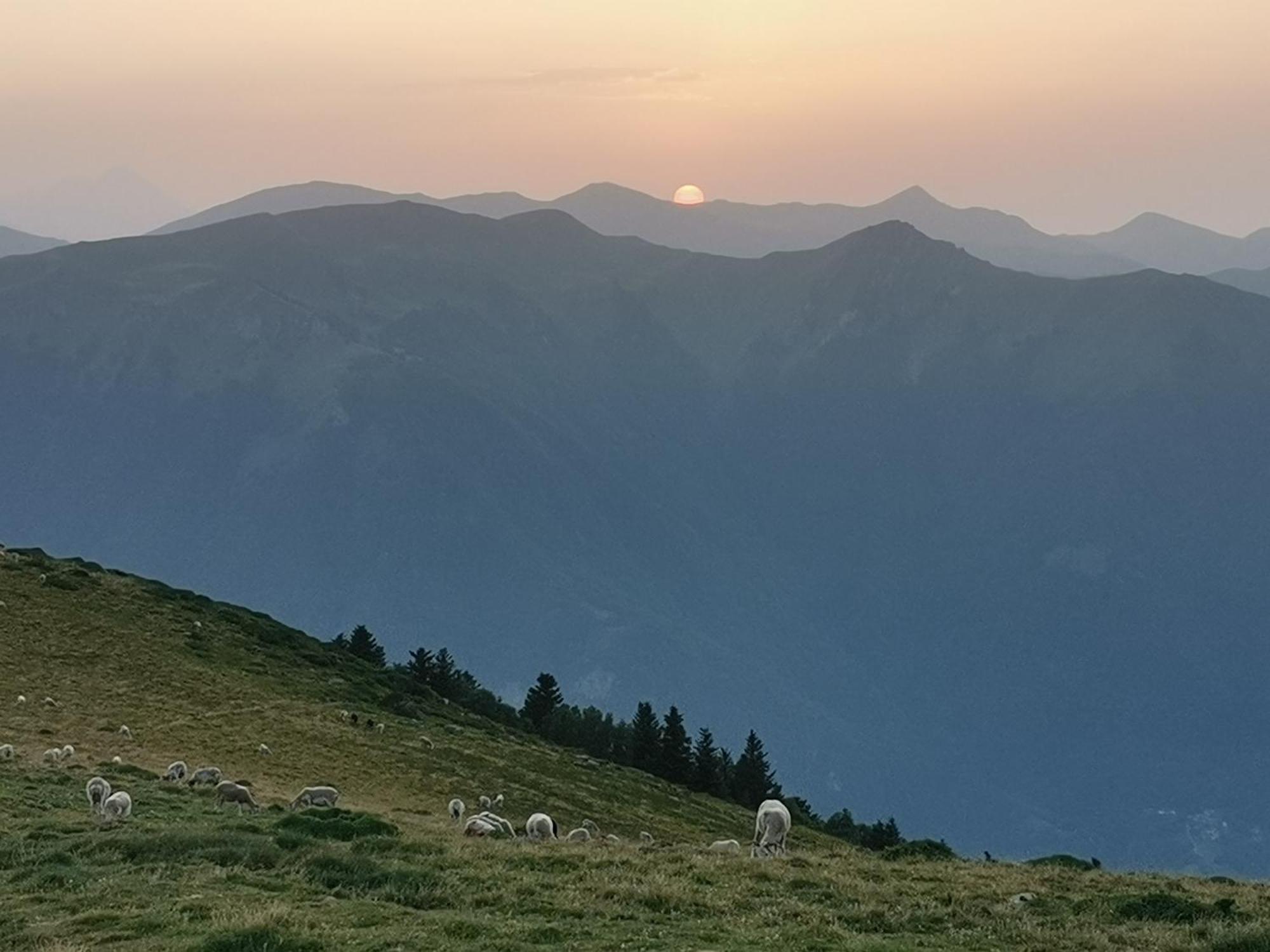 Maison 13 Pers A 10Mn De Luchon Cazaux-Layrisse Luaran gambar